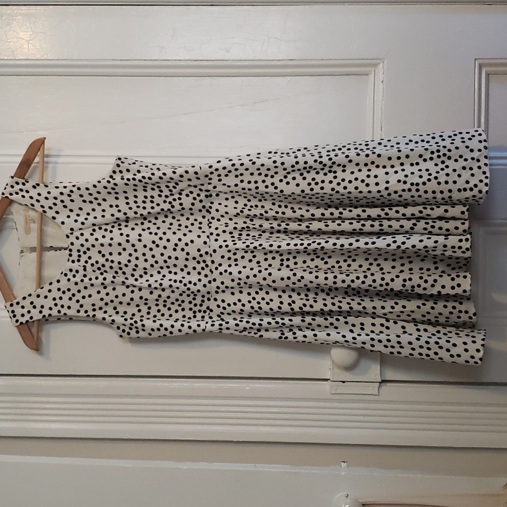 Stitch Fix 41 Hawthorn skater dress